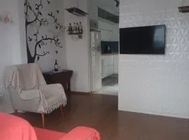 Casa inteira próxima ao Maracanã e ao Metrô Saens Pena