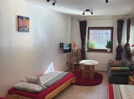 Apartment Ortler