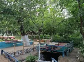 Aslon Guest House