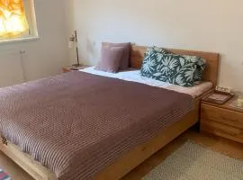 Schönes Appartement in Kehl Zentrum