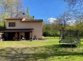 ranocchiaia