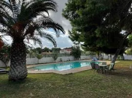 Silver Apartment with Swimming Pool