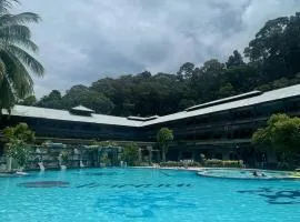 Arwana Perhentian - Pulau Perhentian