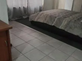 Halibut Suite