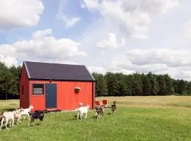 Makówka