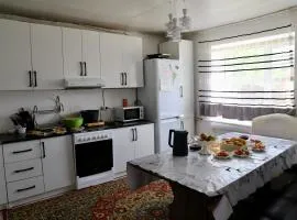 Nagima guest house