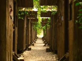 Olympos Yakamoz Pansiyon