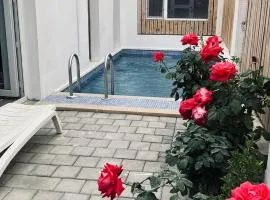 Afina Mini Villa Baku