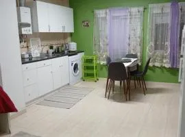 Charming T1 apartment in Seixal