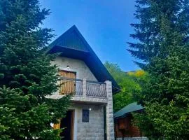 Forest House Crkvine