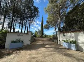 Les Pervenches - B&B en Lorgues