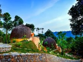 Toroland Munnar