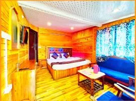 HOTEL LAKE ! VIEW PREMIUM NAINITAL - Mountain View From Balcony - WIfi - Room Service - Best Hotel In Nainital