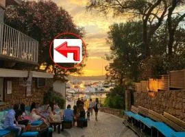 Charming flat in Porto Rotondo with lush garden!