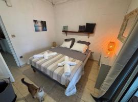 Villa P&eacute;trel, hotel que accepta animals a Saint-Paul