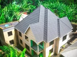 The Hill Villas House