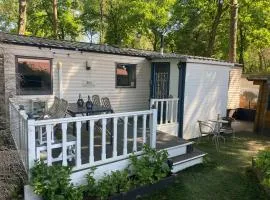Cozy and child-friendly chalet in the Veluwe