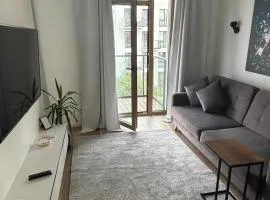 Flat in central of Vilnius
