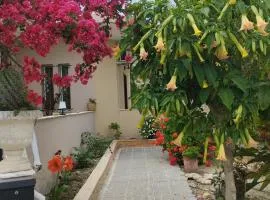 Liza's Place