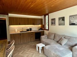 T3 appart 50 metres des pistes, hotel i La Salle Les Alpes
