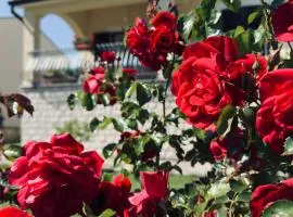 Apartman Ostrea ***