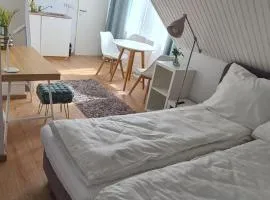 Tim's City Apartments