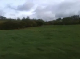The Truffles Farm