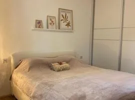 Apartments Boskovic