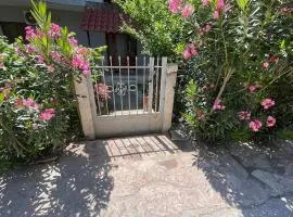 Borsh Selavi Guest House