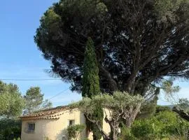 Le mazet du grand pin