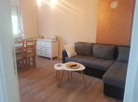 Apartman Jungic