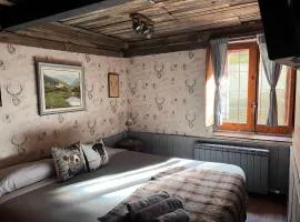 Cabane Du Cerf