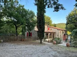 Podere Diacciolini near Massa Marittima