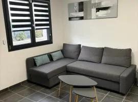 Studio proche Vienne 38200