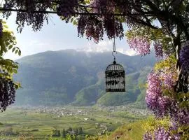 Casa il Glicine Valtellina