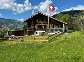Alpenchalet Haldeli Ferienwohnung