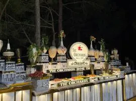 Pine Vista Resort !! A Complete Resort with all Facilities # A Beautiful Mountain View # Best Selling Property