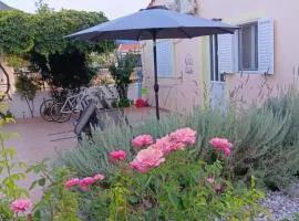 Tonia's guest house