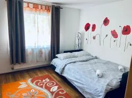 Closca Apartment 1 Max