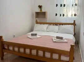 Apartmani Tara