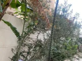 Rez de chaussée à l'Aouina