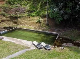 Finca tradicional con piscina natural wifi y naturaleza