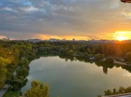 Panoramic Lake View