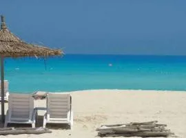شاليه جديد عائلي كبير
