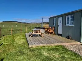 North Muasdale Farm, Ewe View