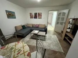Podgorica city center apartment