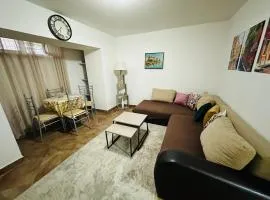 Podgorica city center apartment