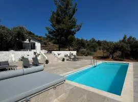 Domus Villa