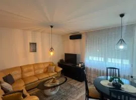Cozy apartment in city center Most