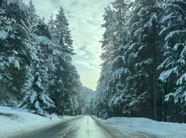 Grande Maison Du Coeur Champoluc Spa,Gym e Aree Relax